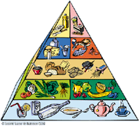 Illustration: Pyramide Alimentaire / Cliquez pour agrandir !